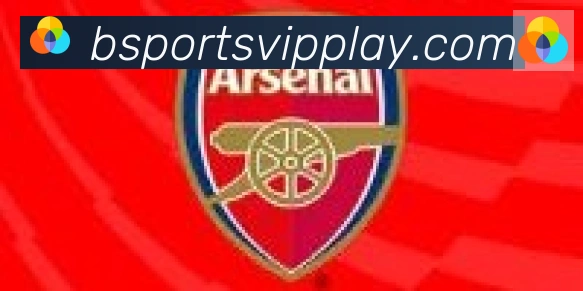 Bsports官网合作伙伴