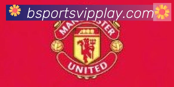 Bsports官网合作伙伴